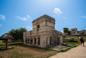 Playa del Carmen: Excursión a Tulum, Cenote y Tortugas con Comida