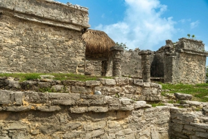 Playa del Carmen: Excursión a Tulum, Cenote y Tortugas con Comida