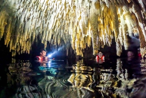 Playa del Carmen: Excursión a Tulum, Cenote y Tortugas con Comida