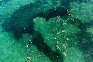Playa del Carmen: Tulum Ruins, Cenote & Swim with Turtles