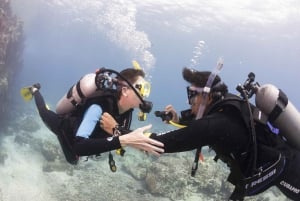 Playa del Carmen: Experiencia PADI Open Water Diver definitiva