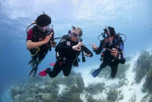 Playa del Carmen: Experiencia PADI Open Water Diver definitiva