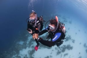 Playa del Carmen: Experiencia PADI Open Water Diver definitiva