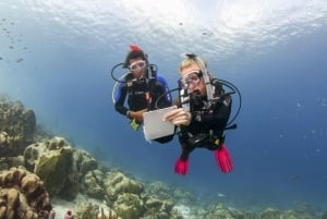 Playa del Carmen: Experiencia PADI Open Water Diver definitiva