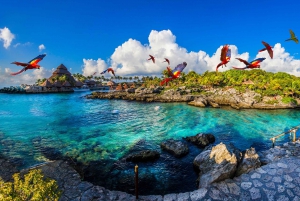 Playa del Carmen: Xcaret Park Afternoon Ticket w/ Night Show