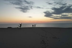 Playa el Cardonal: recorrido y actividad sanboarding en dunas del Sahuimaro