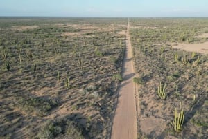 Playa el Cardonal: recorrido y actividad sanboarding en dunas del Sahuimaro