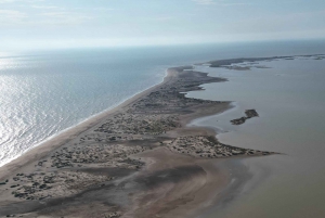 Playa el Cardonal: recorrido y actividad sanboarding en dunas del Sahuimaro