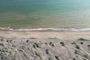 Playa el Cardonal: recorrido y actividad sanboarding en dunas del Sahuimaro