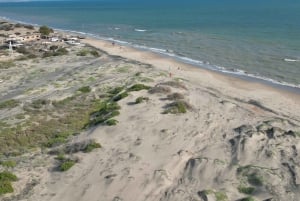 Playa el Cardonal: recorrido y actividad sanboarding en dunas del Sahuimaro