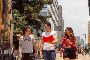 Poetry tour Mexico City