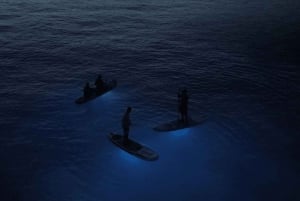 Premium Private Tour: Bioluminescence Paddleboarding + Intimate Dinner