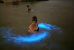 Premium Private Tour: Bioluminescence Paddleboarding + Intimate Dinner