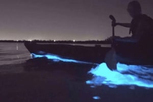 Premium Private Tour: Bioluminescence Paddleboarding + Intimate Dinner