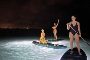 Premium Private Tour: Bioluminescence Paddleboarding + Intimate Dinner