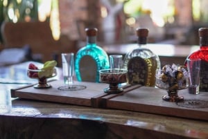 Ruta del Tequila Premium con cata profesional