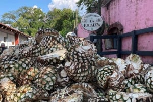 Aventura Privada al Tequila y la Destilería de la Fortaleza