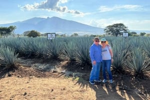 Aventura Privada al Tequila y la Destilería de la Fortaleza