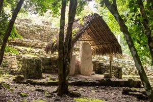 Excursión Arqueológica Privada a Tulum y Cobá con Cenote desde Cancún