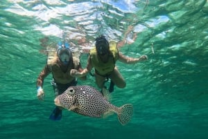 Private Cozumel Jeep and Jade Cavern Cenote Tour