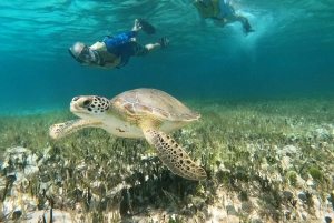 Private Cozumel Jeep and Jade Cavern Cenote Tour