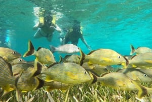 Private Cozumel Jeep and Jade Cavern Cenote Tour