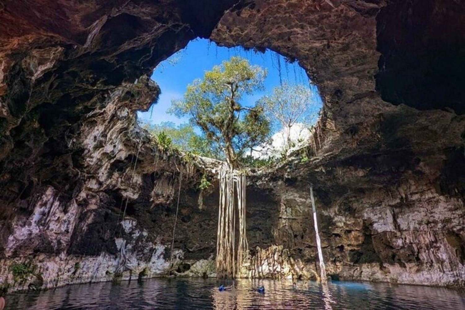 PRIVADO Desde Mérida: 4 Cenotes con Comida y Bicicletas