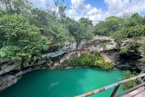 PRIVADO Desde Mérida: 4 Cenotes con Comida y Bicicletas