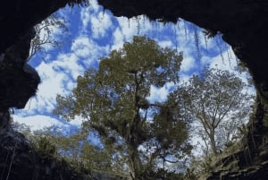 PRIVADO Desde Mérida: 4 Cenotes con Comida y Bicicletas