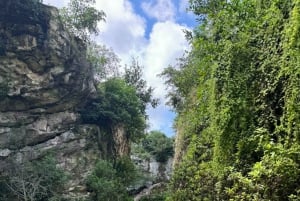 PRIVADO Desde Mérida: 4 Cenotes con Comida y Bicicletas