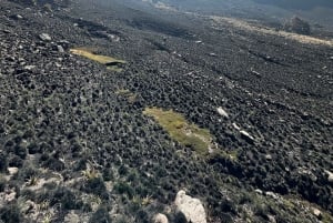 Private Hike Near Popocatépetl Volcano from Mexico City