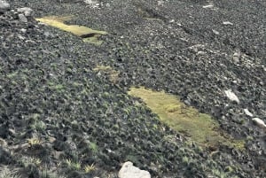 Private Hike Near Popocatépetl Volcano from Mexico City