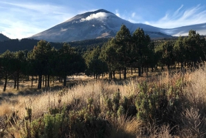 Private Hike Near Popocatépetl Volcano from Mexico City