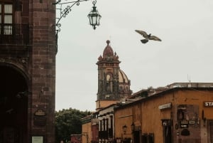 Tour privado histórico de San Miguel de Allende - Mejor valorado