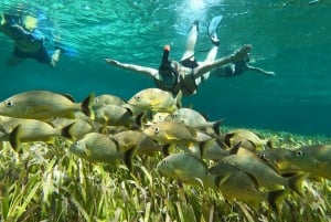 private island tour by jeep with luch and snorkel