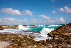 tour privado de la isla en jeep con luch y snorkel