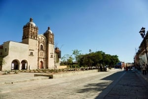 Private Oaxaca Historic Tour - Best Rated