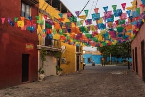 Private Oaxaca Historic Tour - Best Rated