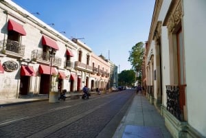 Private Oaxaca Historic Tour - Best Rated