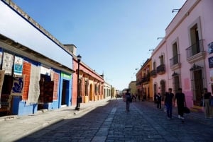 Private Oaxaca Historic Tour - Best Rated