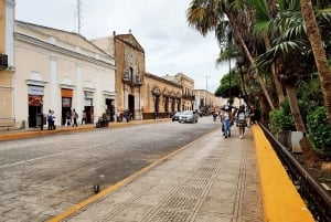 Private Merida Street Food + Historic City Tour - Best Rated