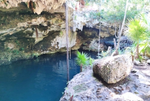 Private tour: Cancun City, Mayan Museum & Cenote with lunch