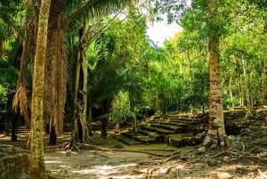 Tour privado: Ruinas Mayas de Chacchoben desde Costa Maya