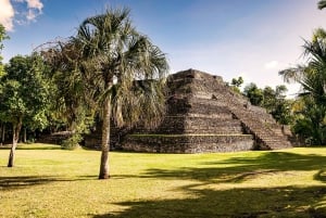 Tour privado: Ruinas Mayas de Chacchoben desde Costa Maya