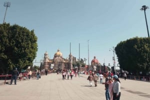 Tour Privado: Conoce la icónica Basílica de Guadalupe en Ciudad de México