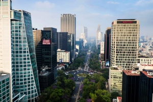 Private Tour Guide Mexico City: Customized Experience