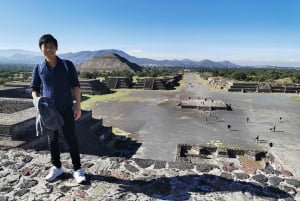 PRIVATE TOUR IN TEOTIHUACAN AND GUADALUPE BASILIC