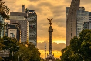 Private tour of the most iconic spots in Mexico City