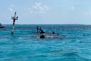 Private Tour to Isla Mujeres from Cancun