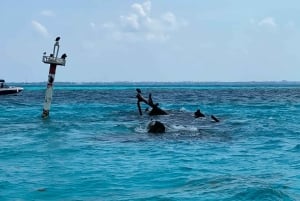 Private Tour to Isla Mujeres from Cancun